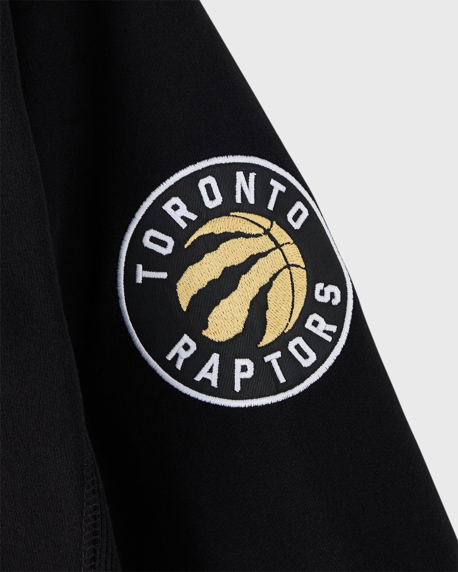 NBA Toronto Raptors Hoodie - Black IMAGE #9