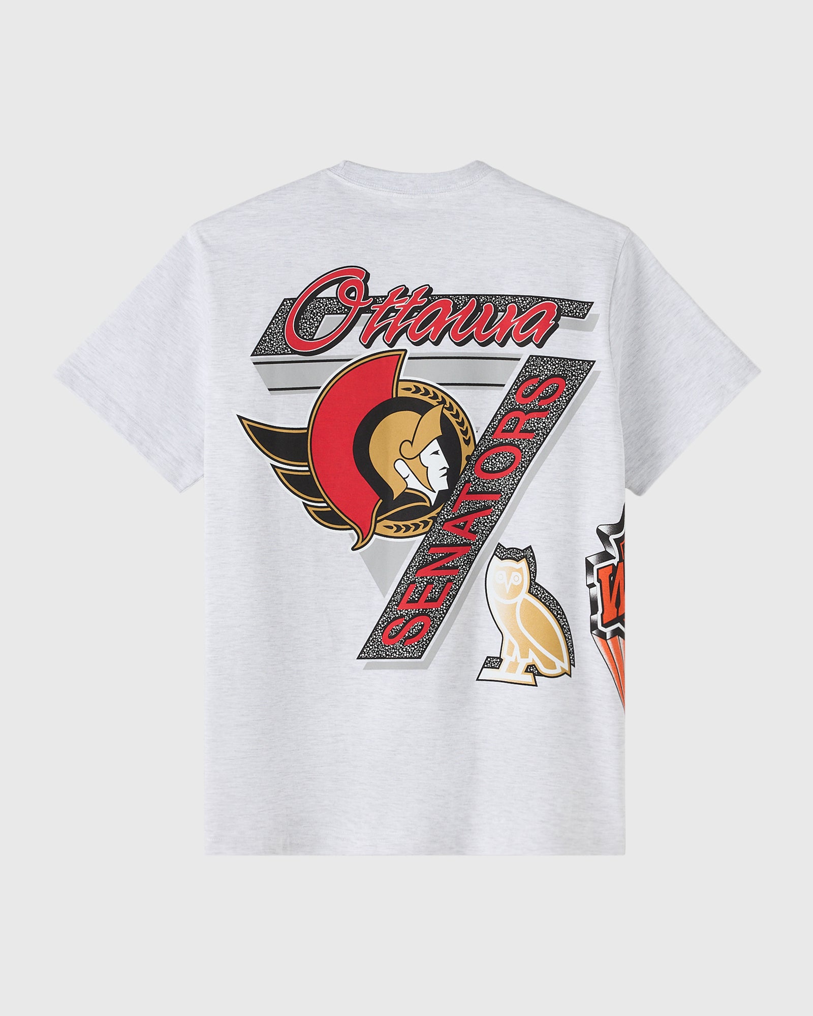 NHL Ottawa Senators 90's Graphic T-Shirt - Ash Heather Grey IMAGE #4